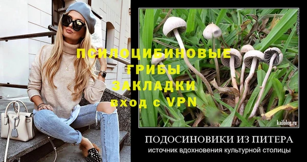 герыч Дмитриев