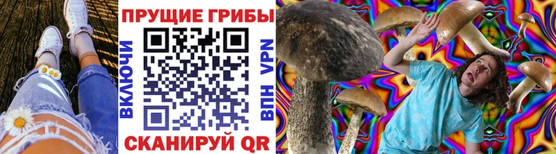 MEGA ONION  дарнет шоп  Белгород  Псилоцибиновые грибы мицелий 